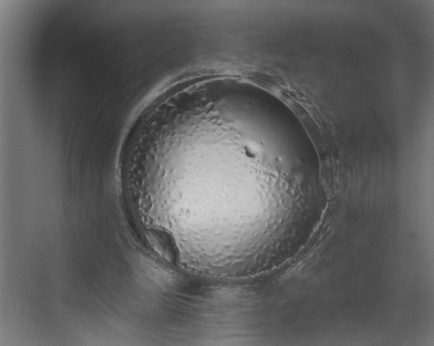 X0000072510246200607211405