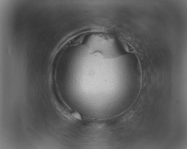 X0000072510247200607211405