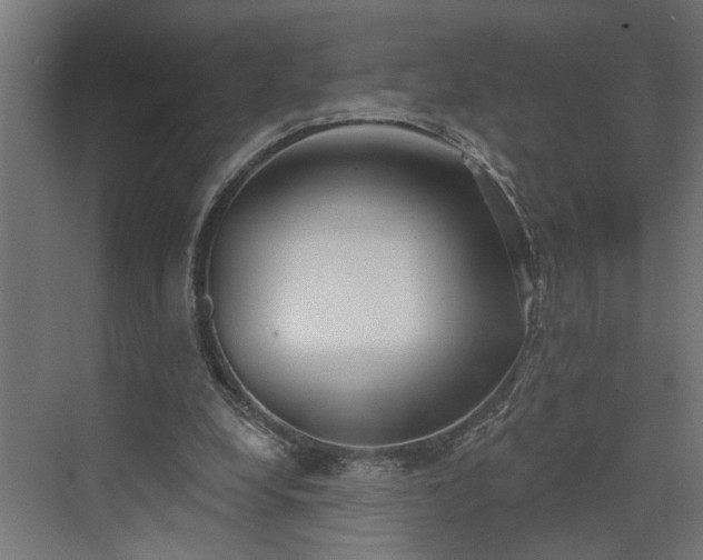 X0000072510248200607211405