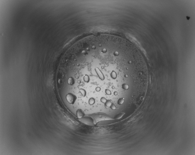 X0000072510249200607211405