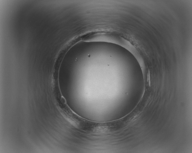 X0000072510252200607211405