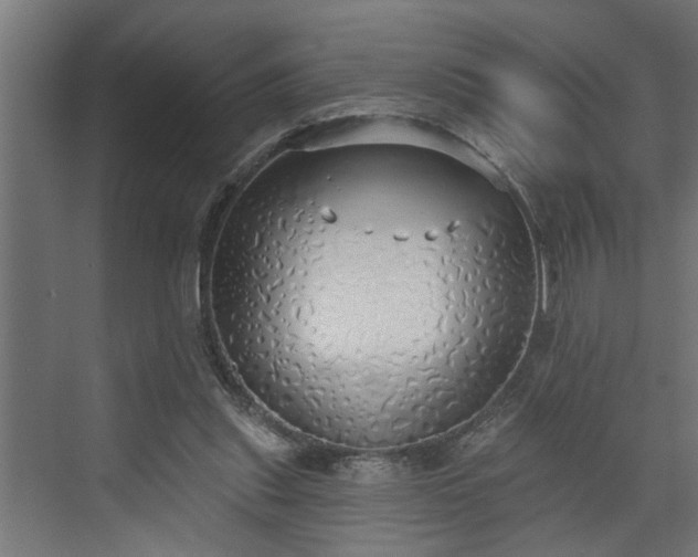 X0000072510253200607211405