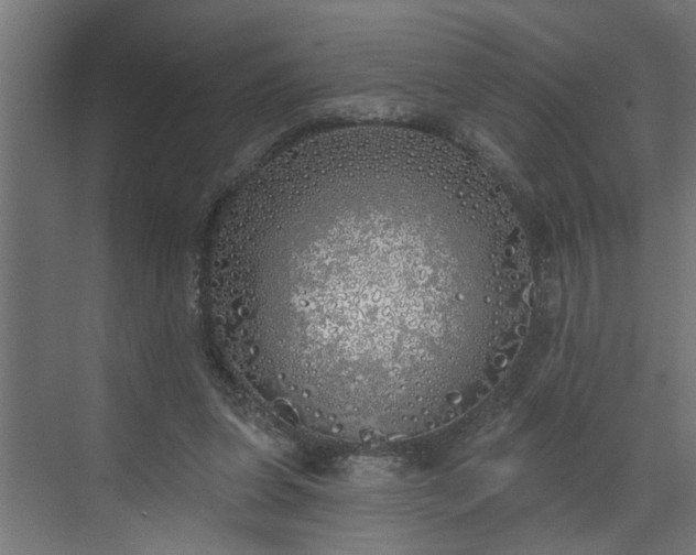 X0000072510255200607211405