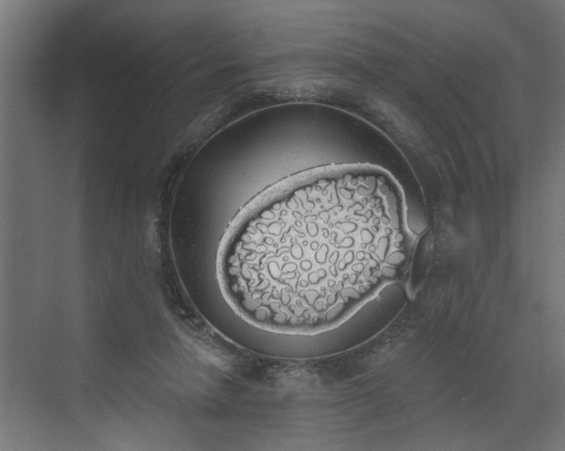 X0000072510258200607211405