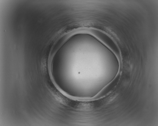 X0000072510260200607211405