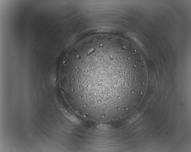 X0000072510261200607211405