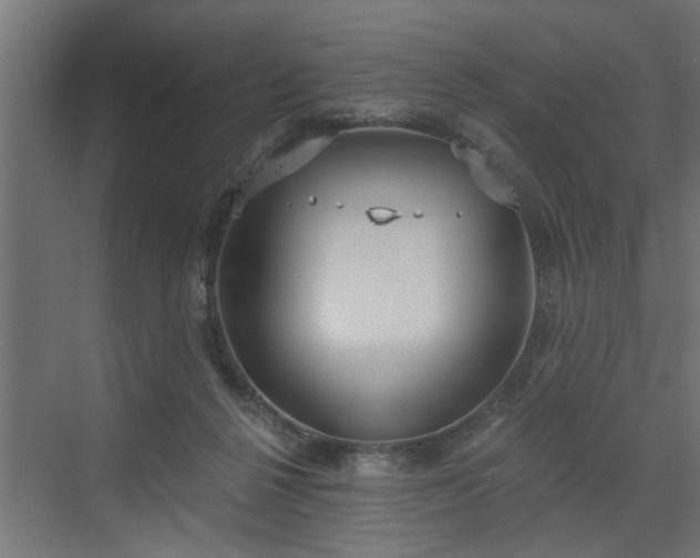 X0000072510264200607211405