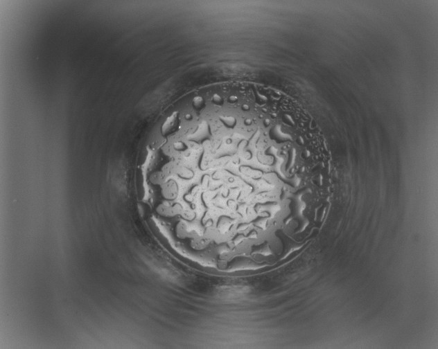 X0000072510266200607211405