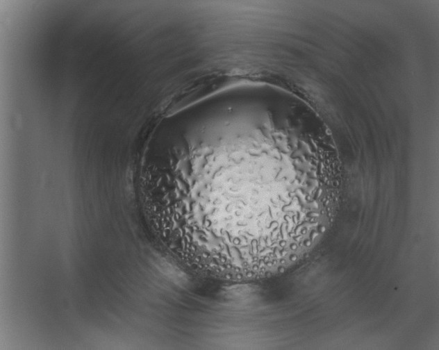 X0000072510269200607211405