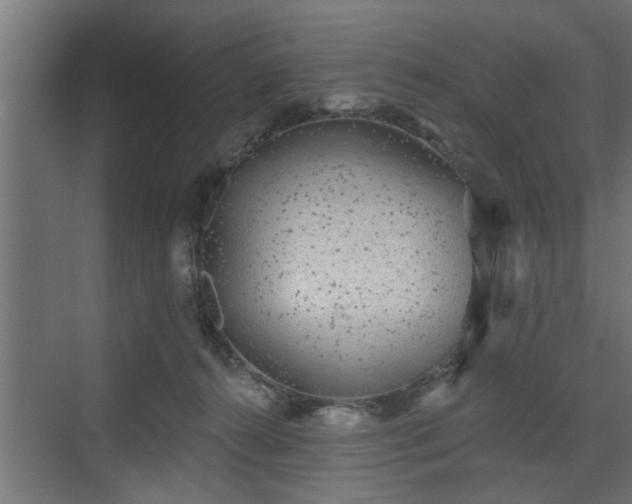 X0000072510272200607211405