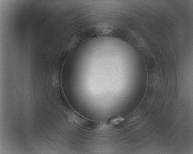 X0000072510274200607211405