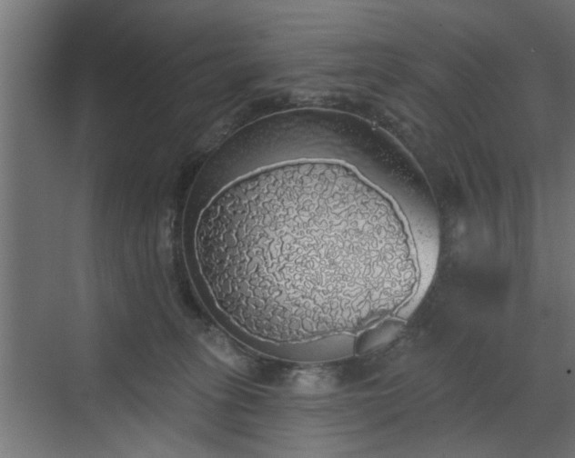 X0000072510275200607211405