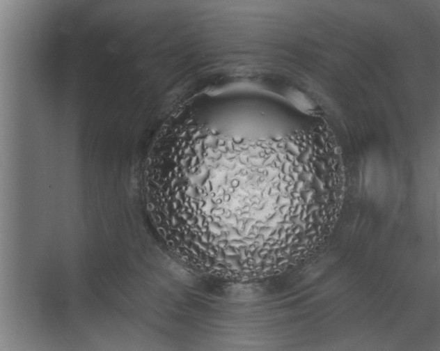 X0000072510277200607211405