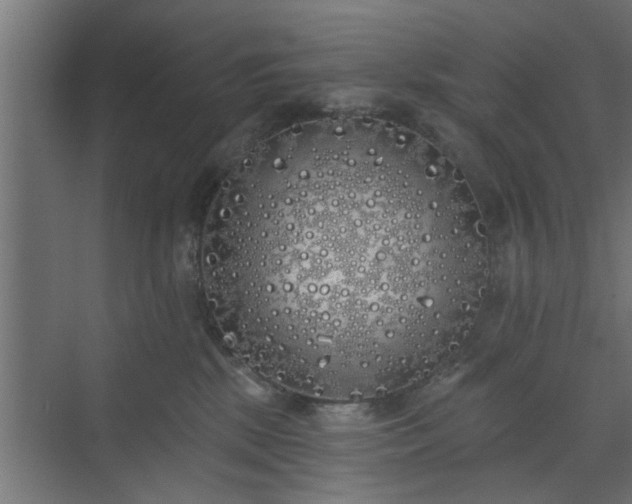 X0000072510281200607211405