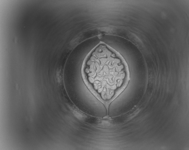 X0000072510285200607211405