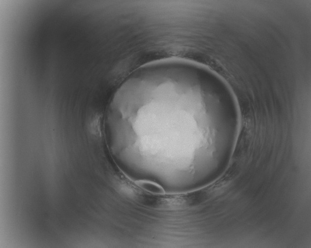 X0000072510286200607211405