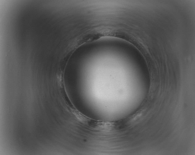 X0000072510288200607211405