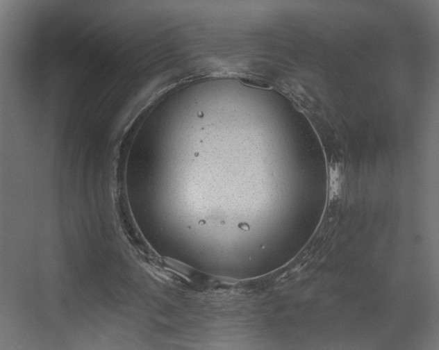 X0000072510291200607211404