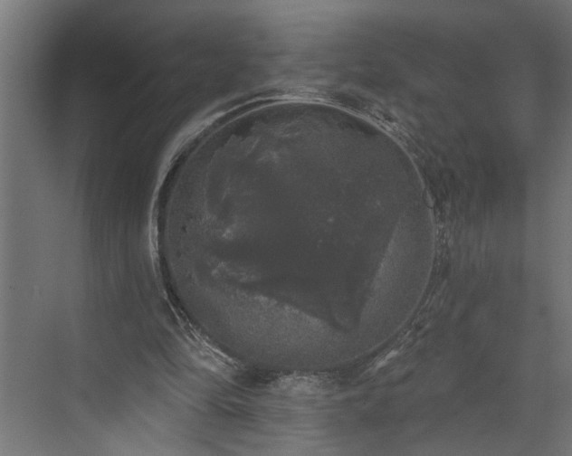 X0000072510294200607211404