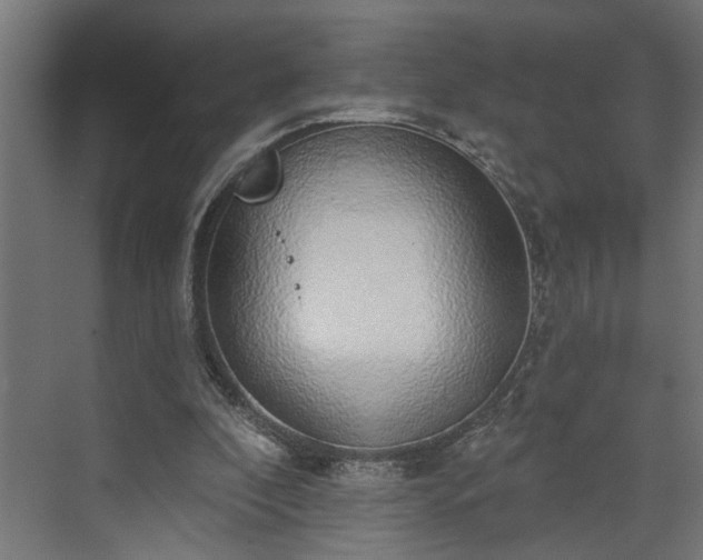 X0000072510296200607211404