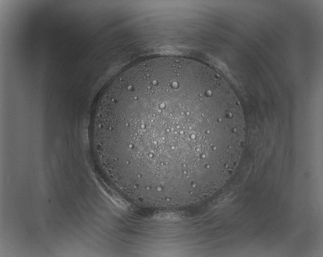 X0000072510299200607211404