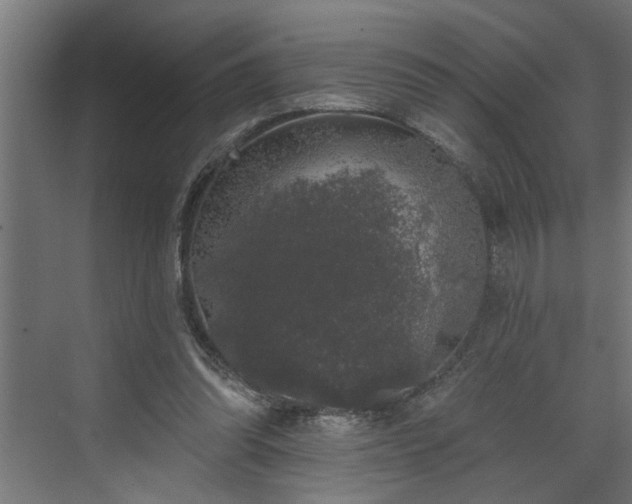 X0000072510302200607211404