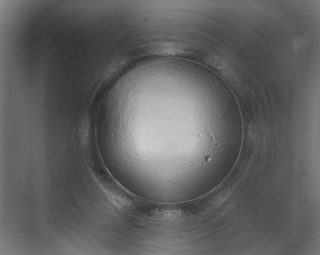 X0000072510304200607211404