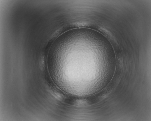 X0000072510308200607211404