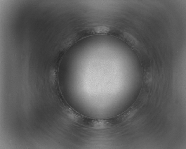 X0000072510321200607211404