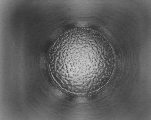 X0000072510322200607211404