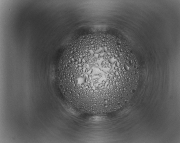 X0000072510323200607211404