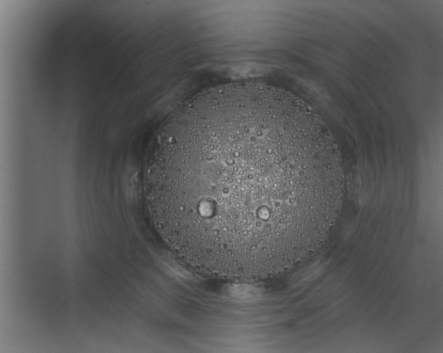 X0000072510327200607211404