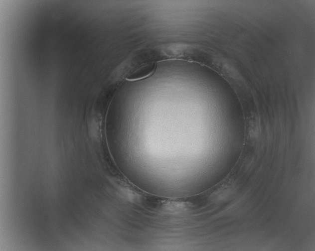 X0000072510332200607211404