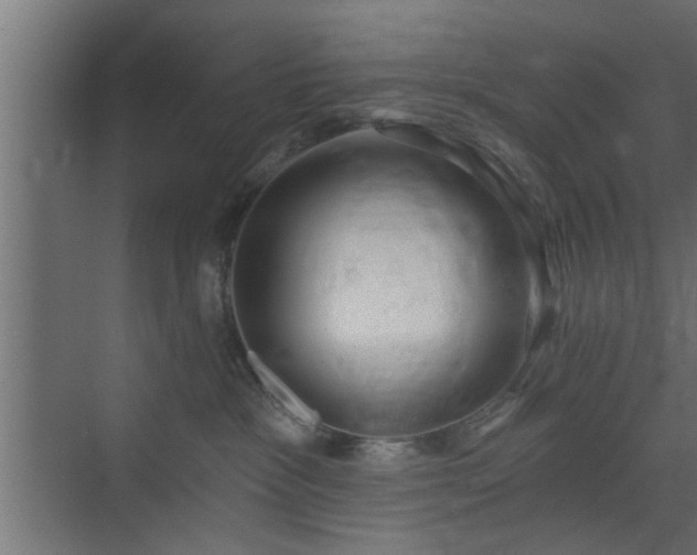 X0000072510333200607211404