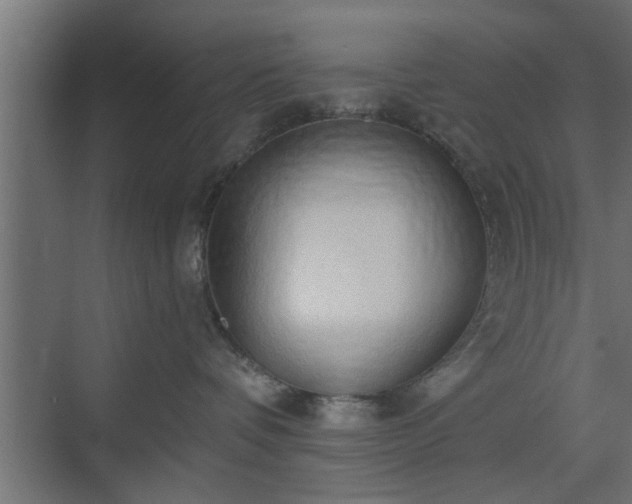 X0000072510336200607211404