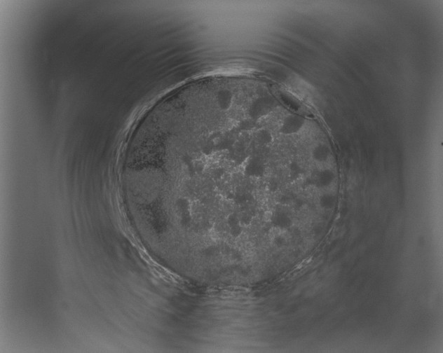 X0000072510337200607211403