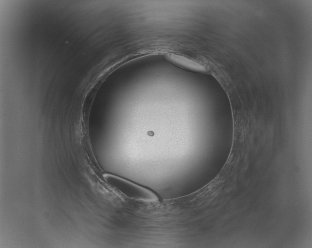 X0000072510338200607211403