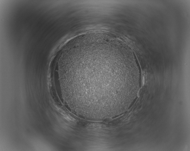 X0000072510339200607211403