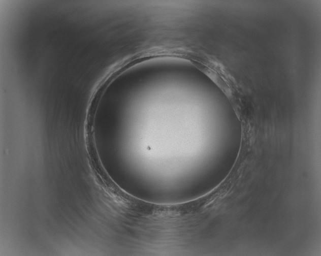 X0000072510340200607211403