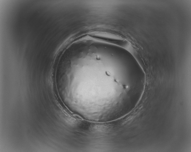 X0000072510341200607211403