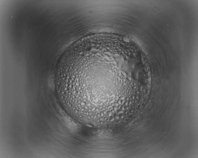 X0000072510345200607211403