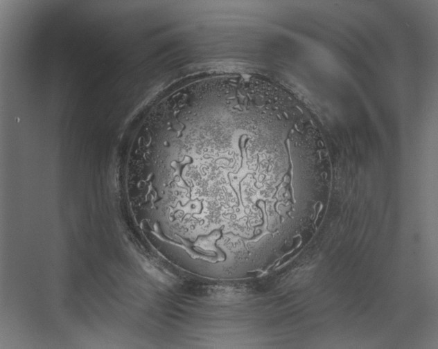 X0000072510347200607211403