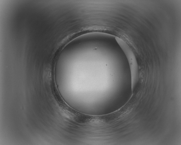 X0000072510348200607211403