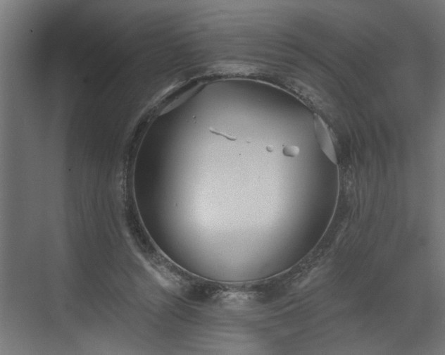 X0000072510352200607211403