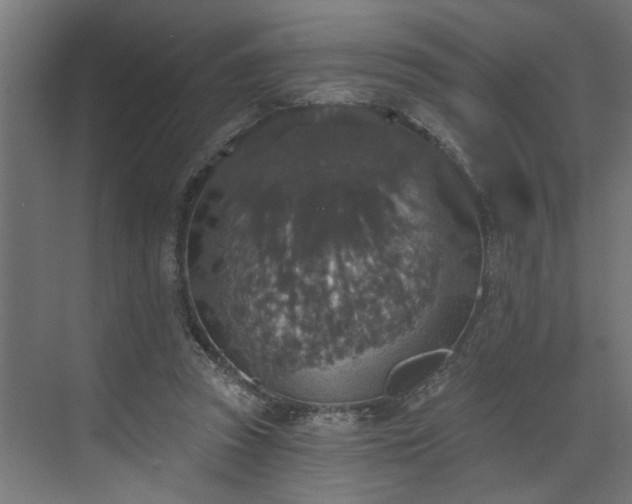 X0000072510353200607211403