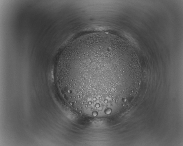 X0000072510358200607211403