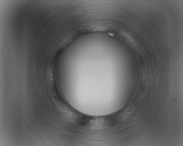 X0000072510362200607211403