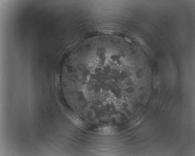 X0000072510365200607211403