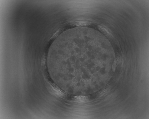 X0000072510367200607211403