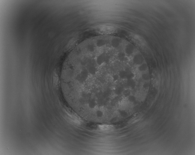 X0000072510371200607211403